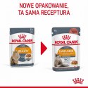 Karma Royal Canin Intense Beauty w sosie 12x85G