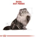 ROYAL CANIN Persian Adult - karma dla kota rasy pers - 2kg
