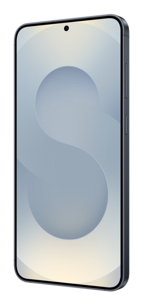 Samsung Galaxy S25+(S936) DS 5G 12/256GB BlueBlack