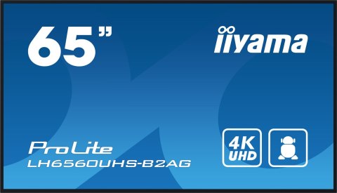 Monitor Iiyama 65 LH6560UHS-B2AG z HDMI i USB