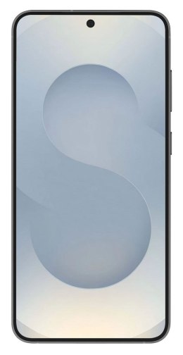 Samsung Galaxy S25 (S931) 5G DS 12/256GB Silver