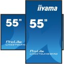MONITOR IIYAMA LED 54,6" LH5575UHS-B1AG