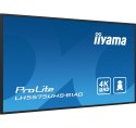 MONITOR IIYAMA LED 54,6" LH5575UHS-B1AG