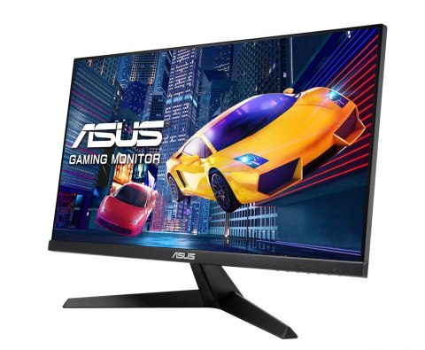 Monitor ASUS ProArt VY249HGR 60.45cm (16:9) IPS 120 Hz