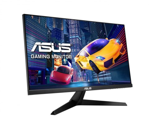Monitor ASUS ProArt VY249HGR 60.45cm (16:9) IPS 120 Hz
