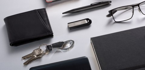 SANDISK ULTRA EXTREME/GO 3.2 FLASH DRIVE 256GB