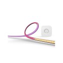 Zestaw startowy Philips Hue Gradient PC Lightstrip 24-27" 15 W