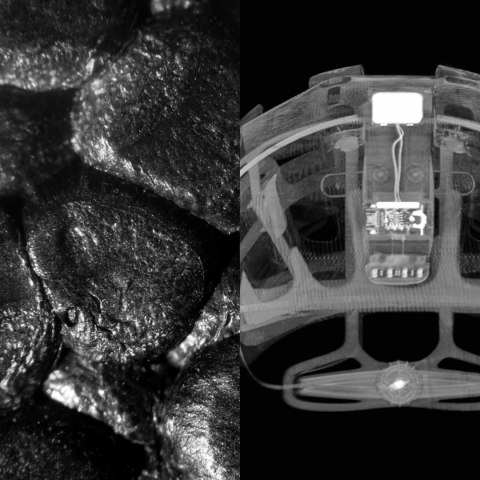 POC PC108688826LRG1 sportowe nakrycie głowy Czarny, Pomarańczowy