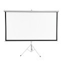 Extralink Ekran projekcyjny Projection Screen 100" 16:9, 220x125cm, PVC, pół-automatyczne zwijanie