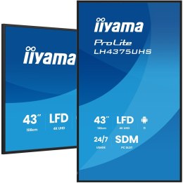 Monitor IIYAMA 108cm (42,5