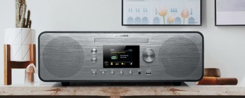 Odtwarzacz mp3 Muse M-885 DBT 80 W DAB, FM Czarny