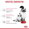 ROYAL CANIN Mother & Babycat 34 2kg