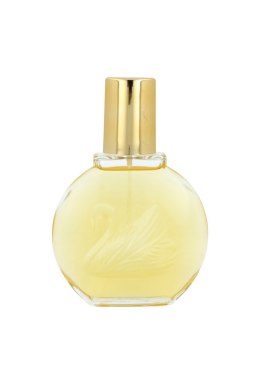 Gloria Vanderbilt Vanderbilt Edt 100ml